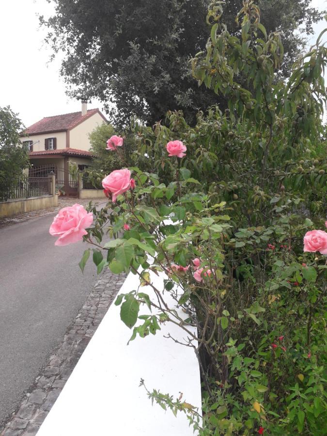 AlbarrolCasa Hozani别墅 外观 照片
