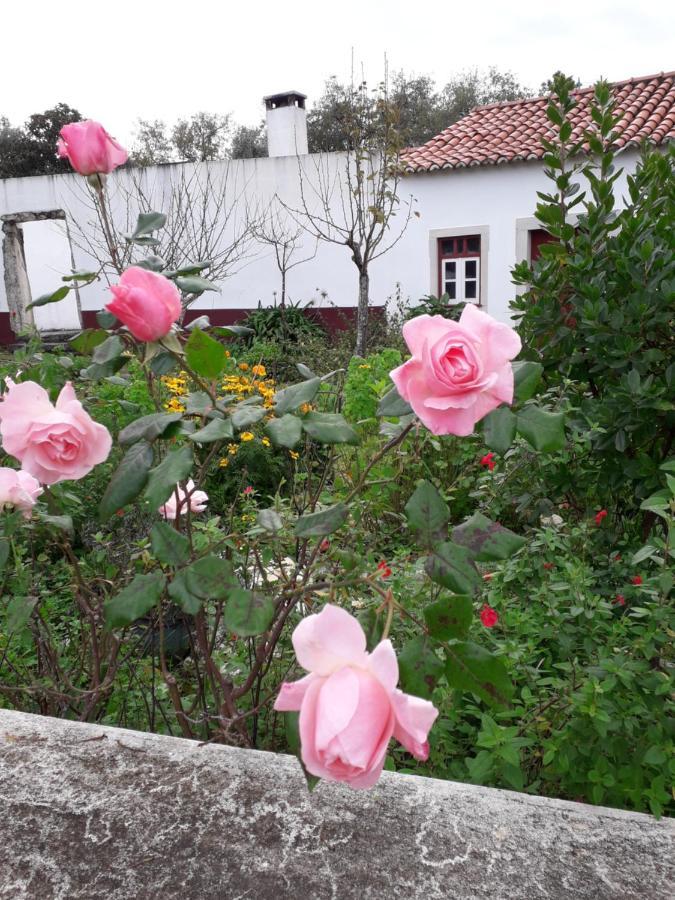 AlbarrolCasa Hozani别墅 外观 照片